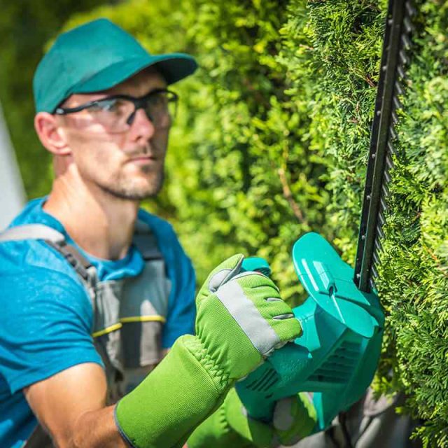 https://arturoslandscapingct.com/wp-content/uploads/2019/08/team_05-640x640.jpg