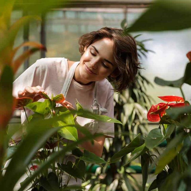 https://arturoslandscapingct.com/wp-content/uploads/2019/08/team_06-640x640.jpg