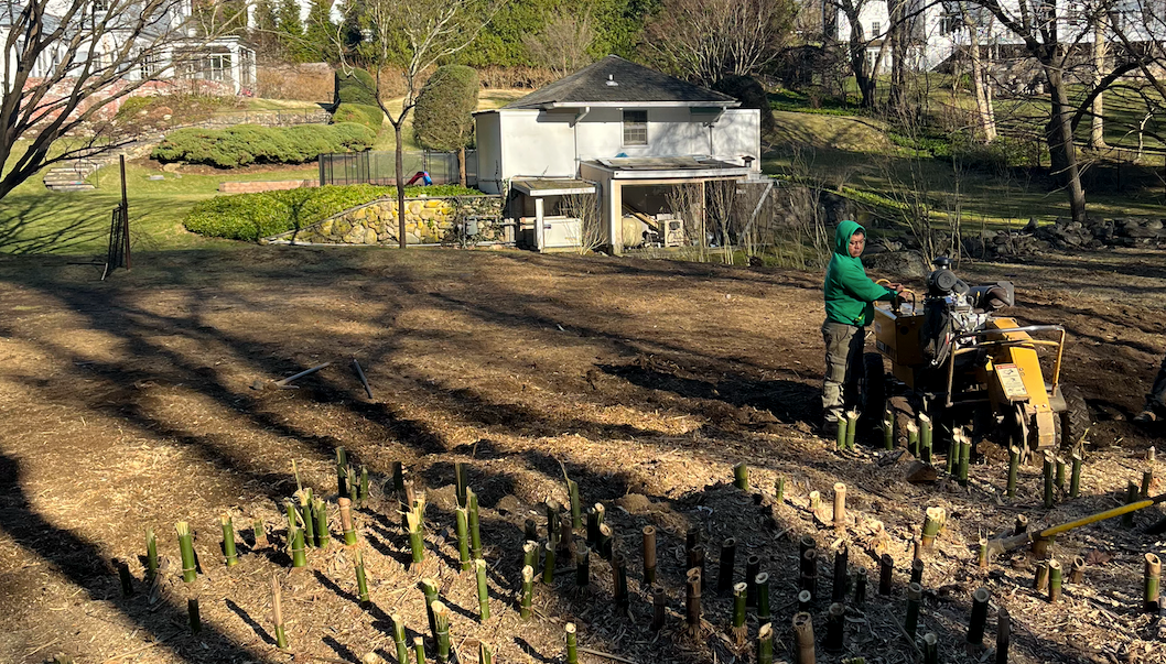 https://arturoslandscapingct.com/wp-content/uploads/2026/05/3.png